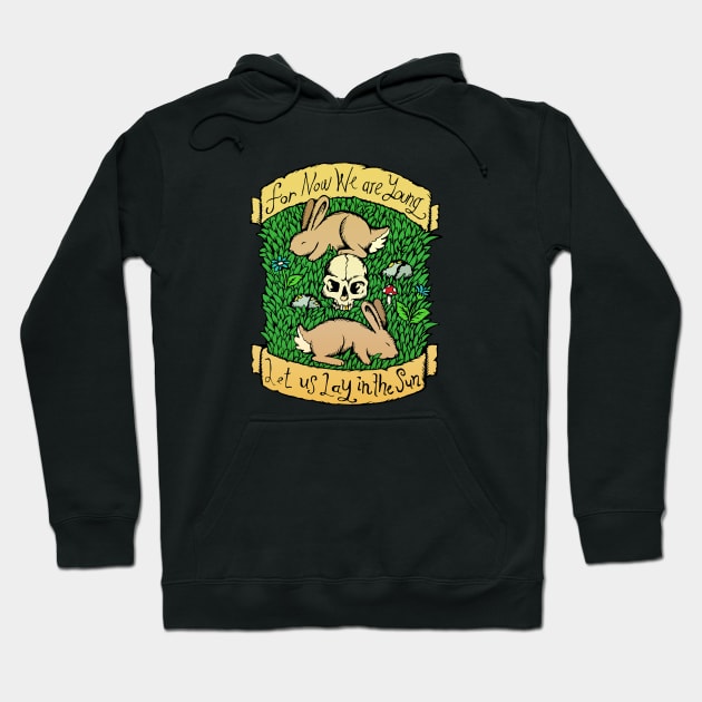 Neutral Milk Hotel - In the Aeroplane Over the Sea - Illstrated Lyrics - Colour Version Hoodie by bangart